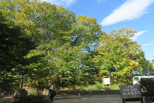 a0158702_16352207.jpg