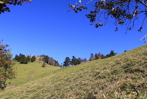 a0158702_16384947.jpg
