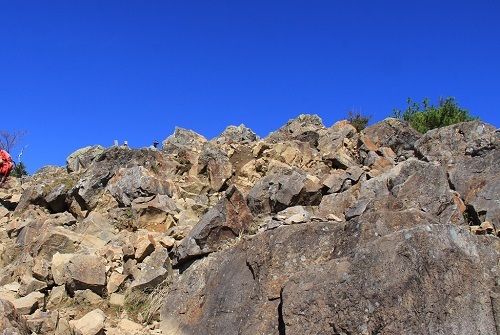 a0158702_16402629.jpg