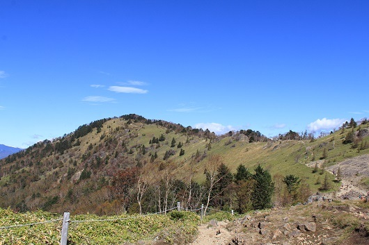 a0158702_16422592.jpg
