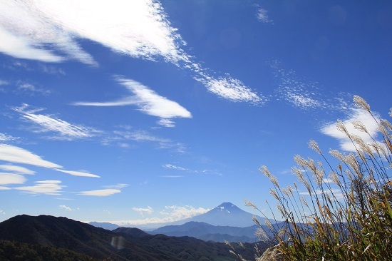 a0158702_16473130.jpg