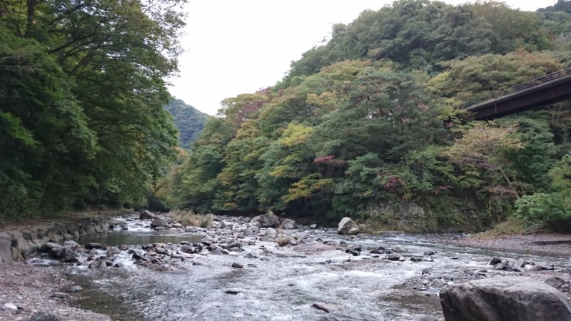 b0172805_07331223.jpg