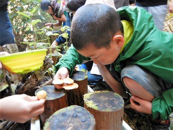 山村留学見学会…日曜日はサツマイモ掘りと秋の里散策_d0265607_941937.jpg