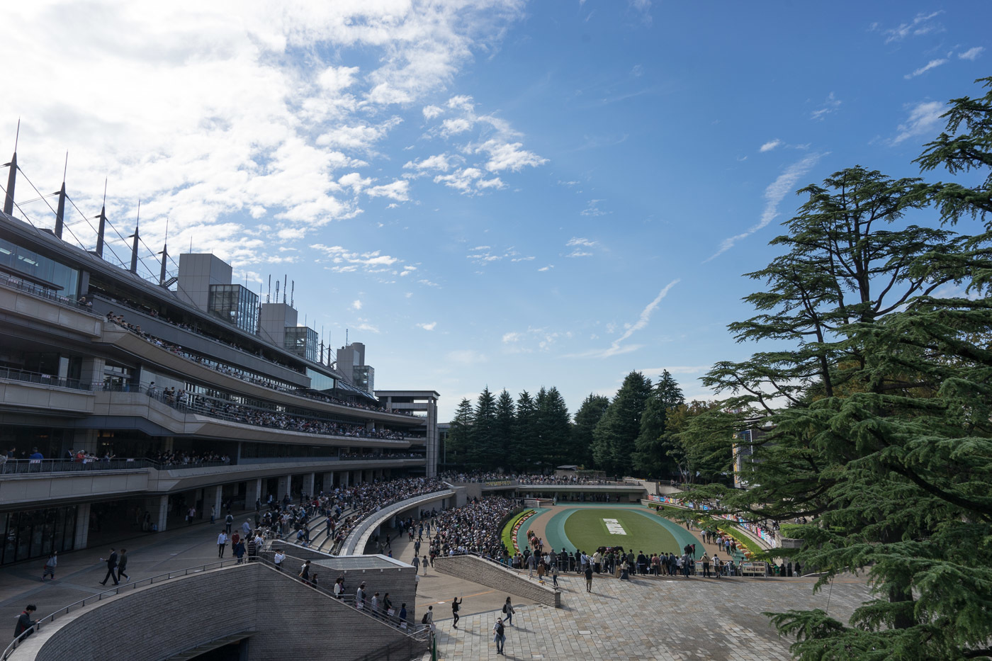 10月の東京競馬場〜馬場以外の風景_b0225108_23335986.jpg