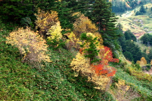 a0263109_14265798.jpg