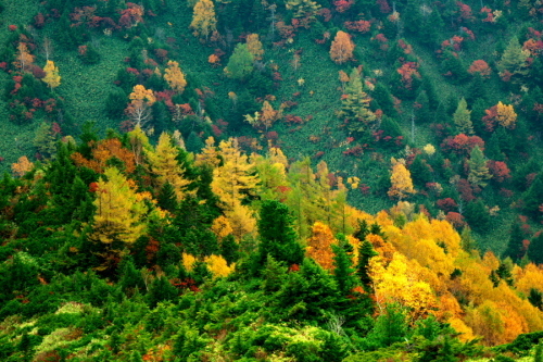 a0263109_14310867.jpg