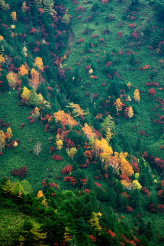 a0263109_14310886.jpg