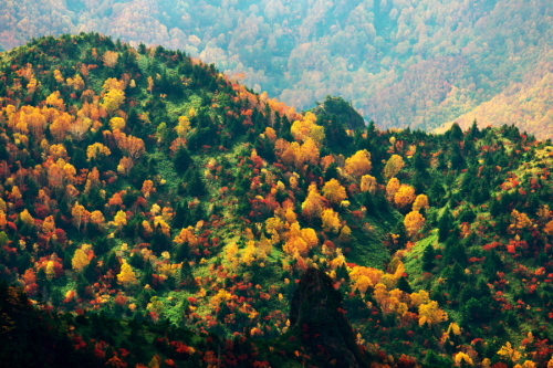 a0263109_14310938.jpg