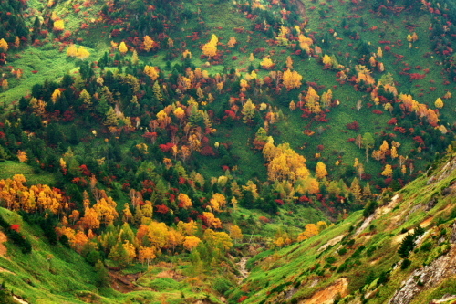 a0263109_14310947.jpg