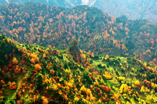 a0263109_14445317.jpg