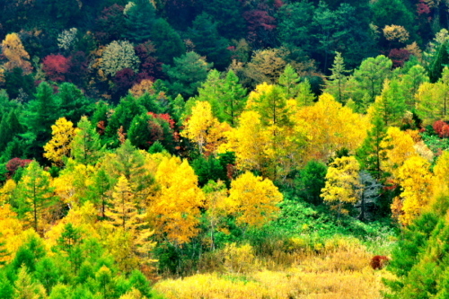 a0263109_14462860.jpg