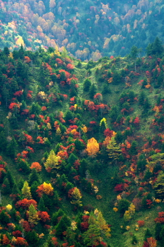 a0263109_14462943.jpg