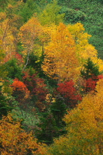 a0263109_14462972.jpg