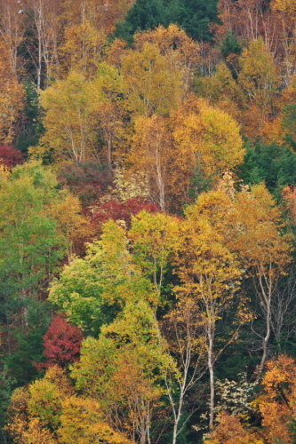 a0263109_14572542.jpg