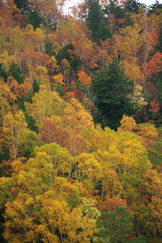 a0263109_14590925.jpg