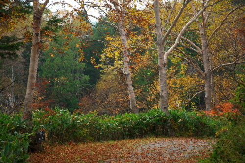 a0263109_19485103.jpg