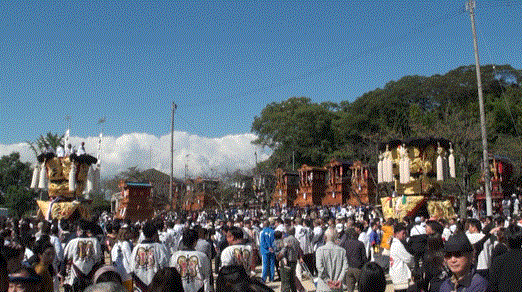 f0231709_11215817.gif