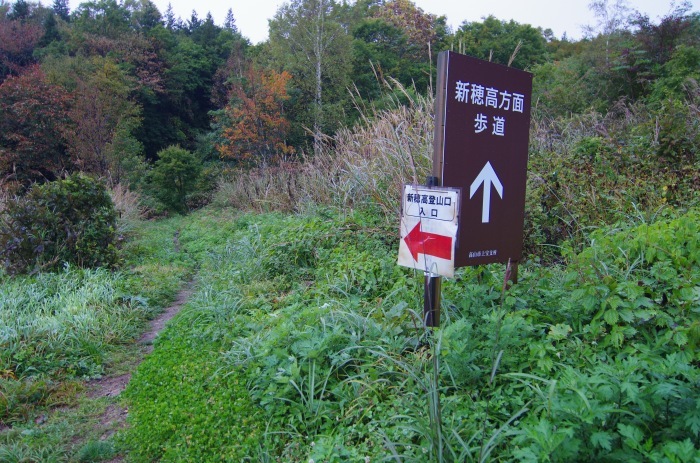 f0195813_21050584.jpg