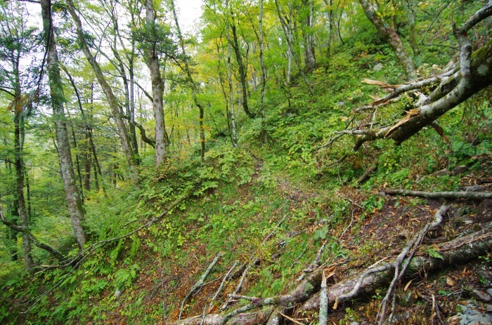 f0195813_21060554.jpg