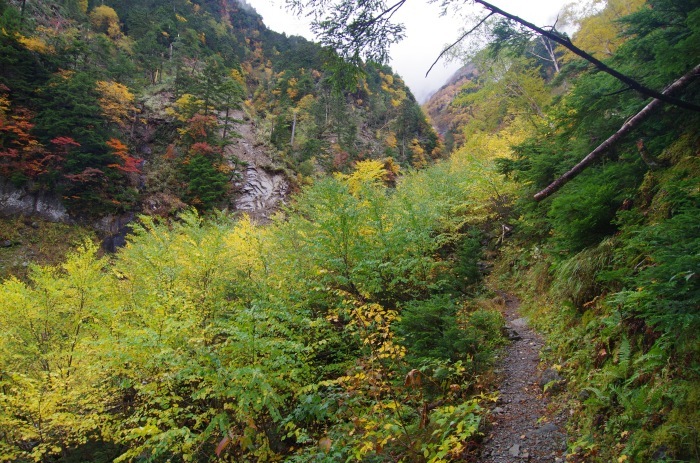 f0195813_21063812.jpg
