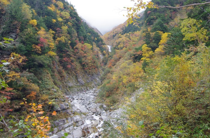 f0195813_21064334.jpg
