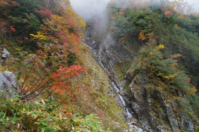f0195813_21065891.jpg
