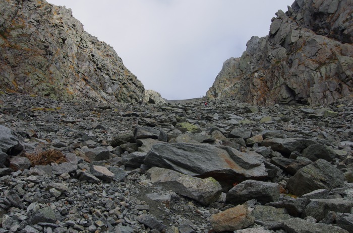 f0195813_21072643.jpg