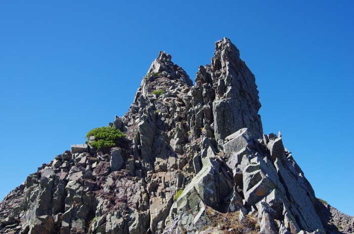f0195813_21442114.jpg