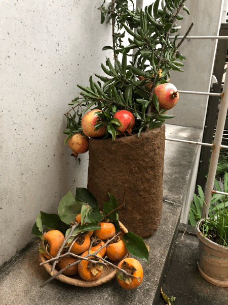b0268815_15165542.gif