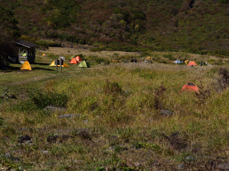 d0355116_22060366.jpg