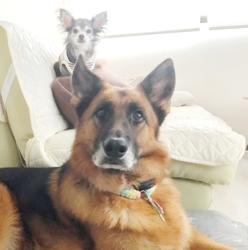 c0132121_10412080.jpeg