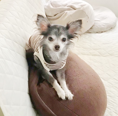 c0132121_10415077.jpeg