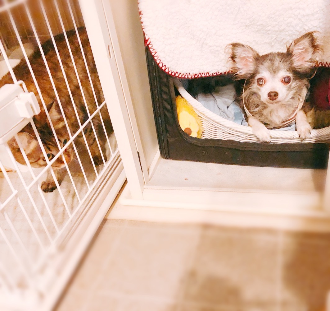 c0132121_10420173.jpeg