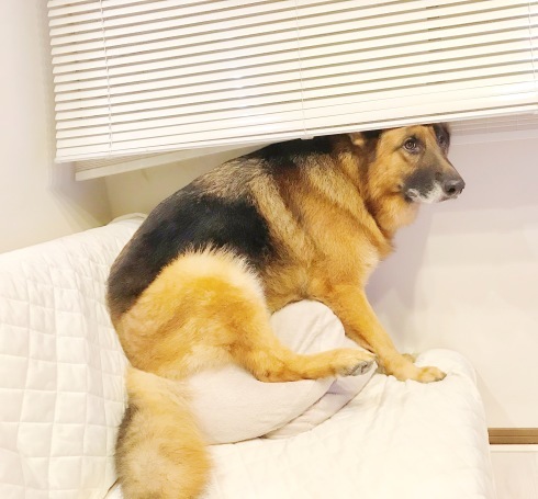 c0132121_10422465.jpeg