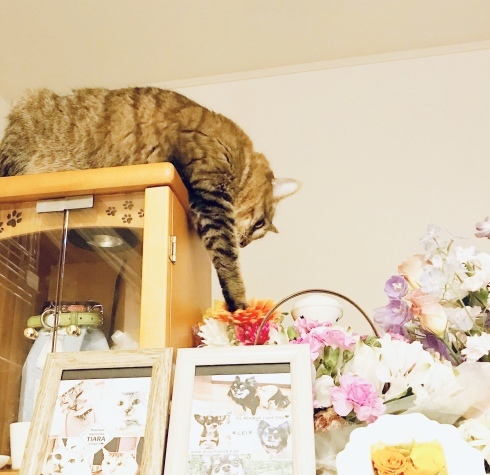 c0132121_10425702.jpeg
