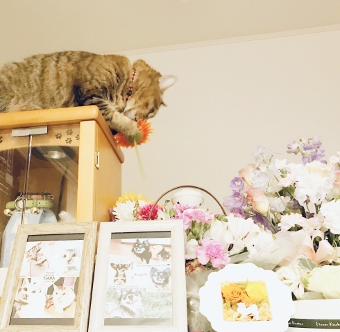 c0132121_10431164.jpeg