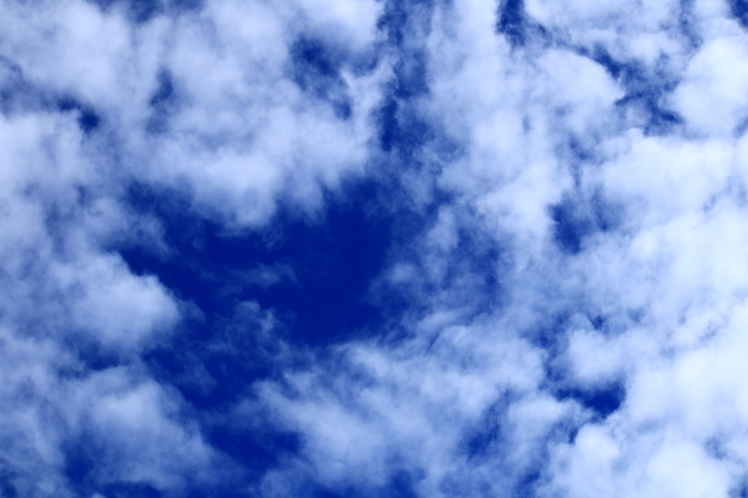 f0209122_17400037.jpg