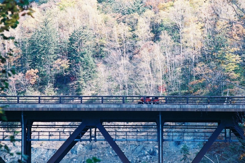 f0362725_13070853.jpg