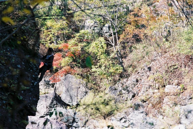 f0362725_13074044.jpg