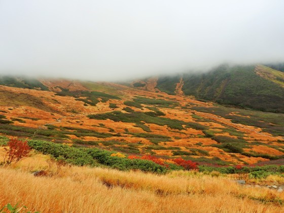 徳島と静岡の仲間と_f0118332_01111388.jpg