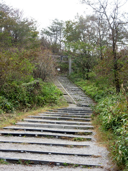 f0002533_18201167.jpg