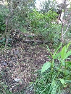 c0147935_20531570.jpg
