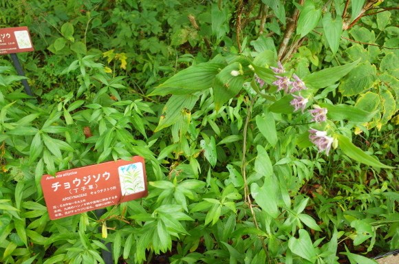a0287336_01205358.jpg