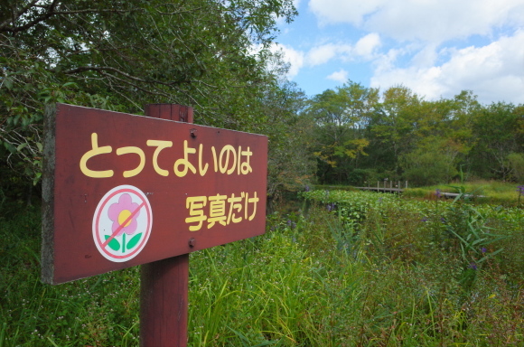 a0287336_01212166.jpg