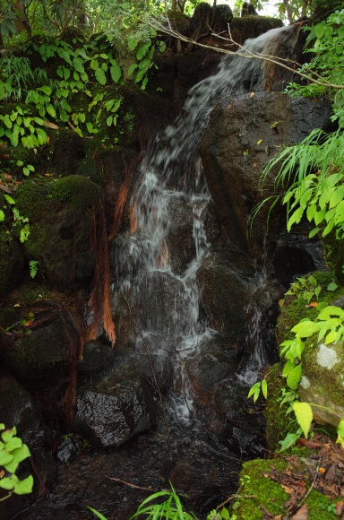 a0287336_01213093.jpg