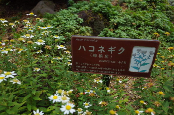 a0287336_01215698.jpg