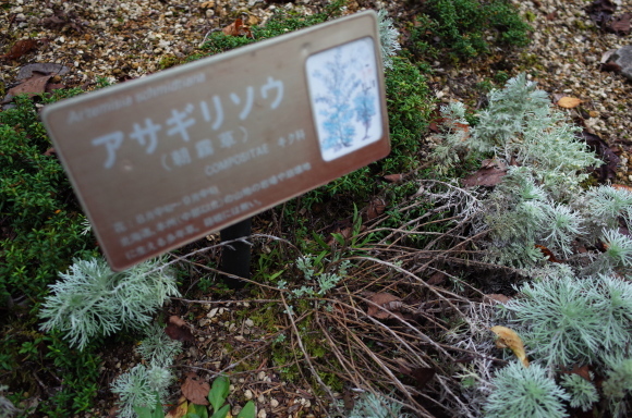 a0287336_01220577.jpg