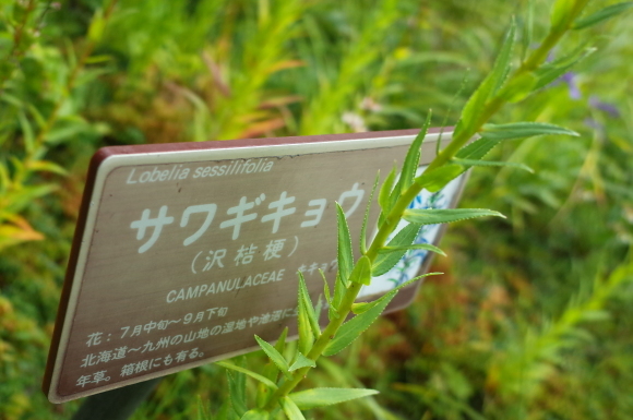 a0287336_01222316.jpg