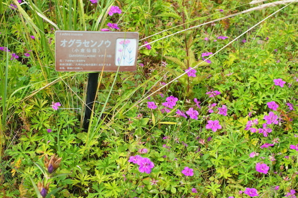 a0287336_01223376.jpg