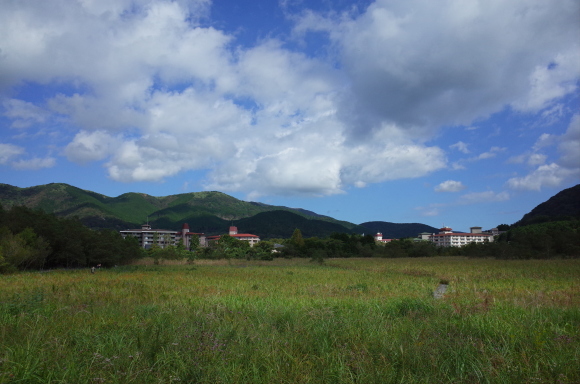 a0287336_01230211.jpg